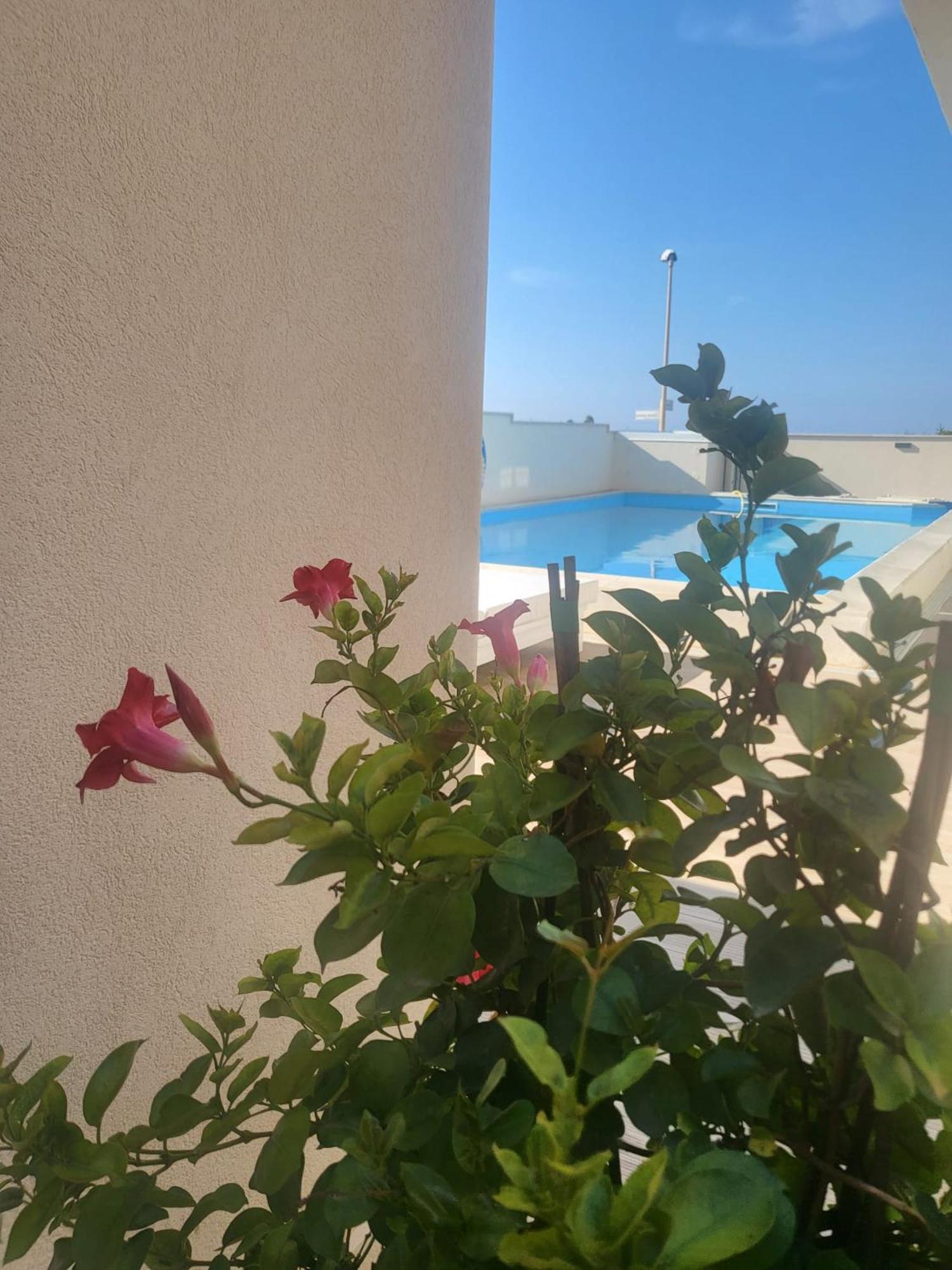 ホテル Casa P. Greco Portopalo Di Capo Passero エクステリア 写真